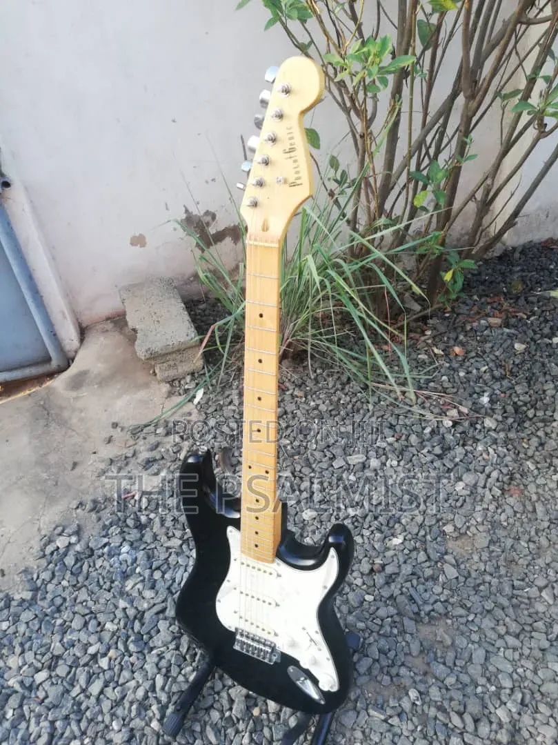 PhototGenic Stractocaster Guitar