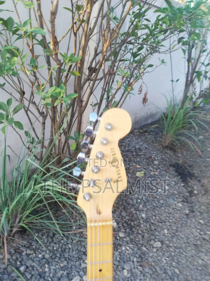 PhototGenic Stractocaster Guitar
