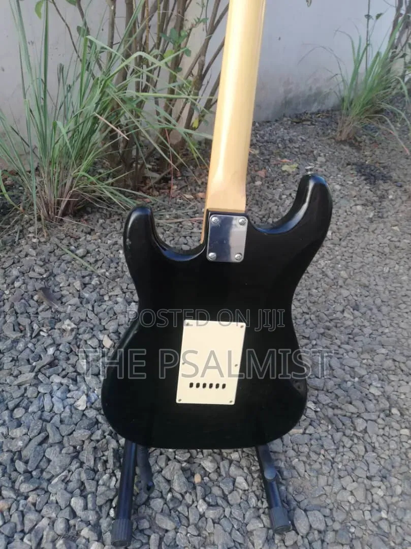 PhototGenic Stractocaster Guitar