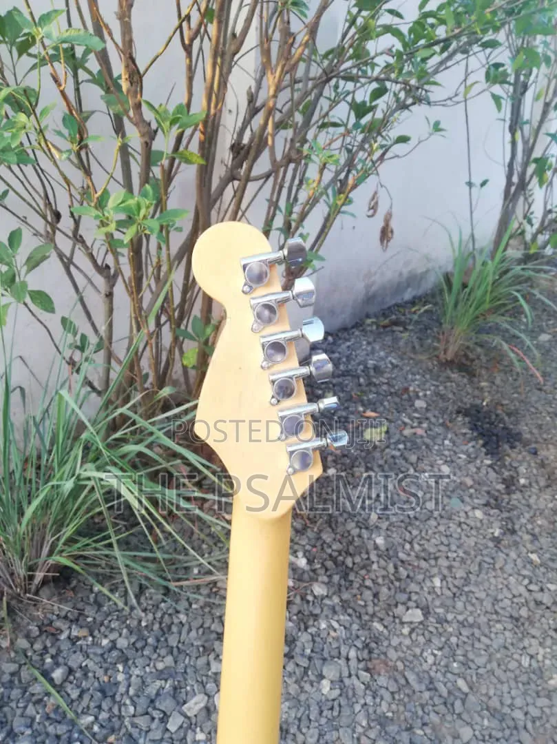 PhototGenic Stractocaster Guitar