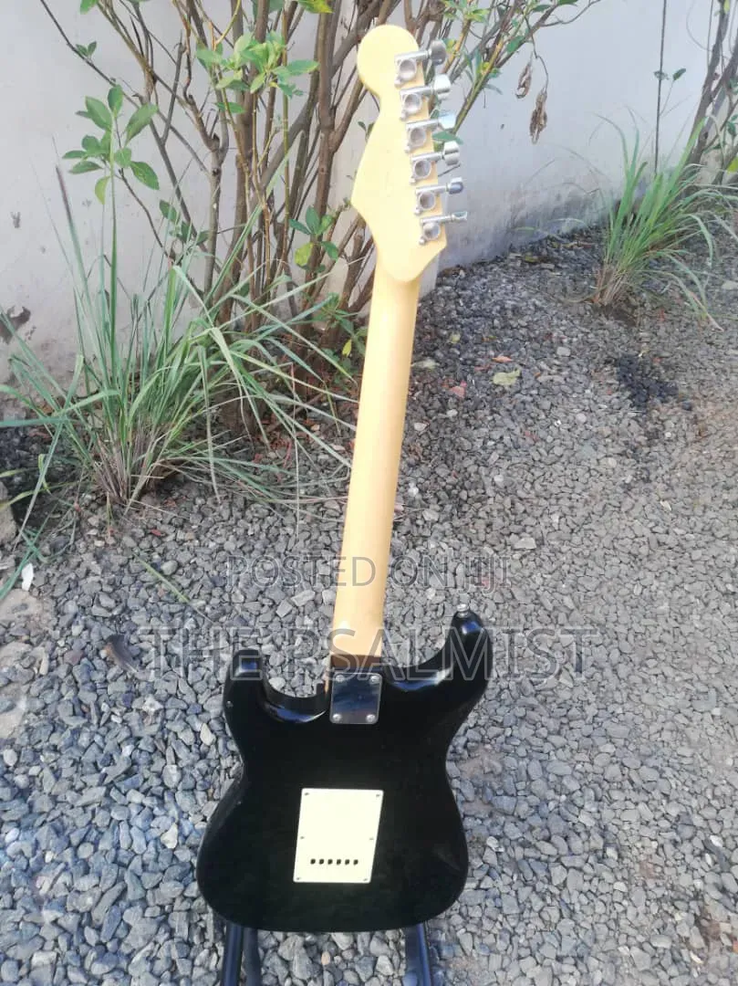 PhototGenic Stractocaster Guitar