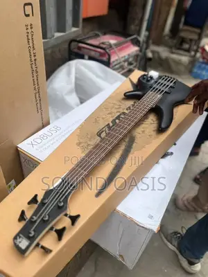 Ibanez SR305 5-String Electric Bass Guitar