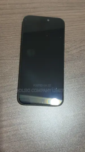 Apple iPhone 15 Pro Max 256 GB Graphite