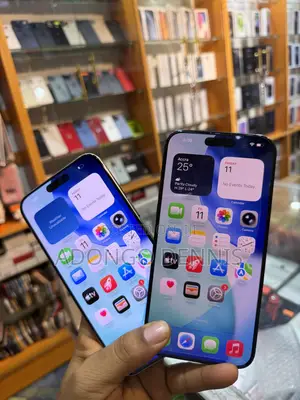 Apple iPhone 15 Pro Max 256 GB Silver