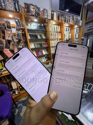 Apple iPhone 15 Pro Max 256 GB Silver