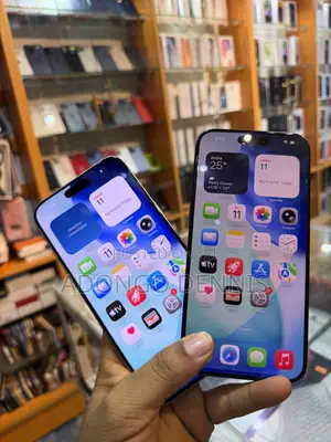 Apple iPhone 15 Pro Max 256 GB Silver
