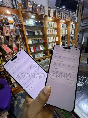 Apple iPhone 15 Pro Max 256 GB Silver