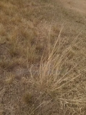 Land at Afienya for Sale. Close the Road, Strategically Located.