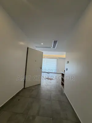 Building Finishing Company (Ceiling, Painting, Grafiato, Tiling Etc)