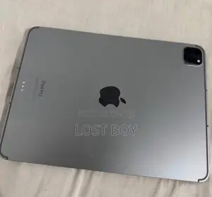 Apple iPad Pro 11 (2022) 256 GB Gray