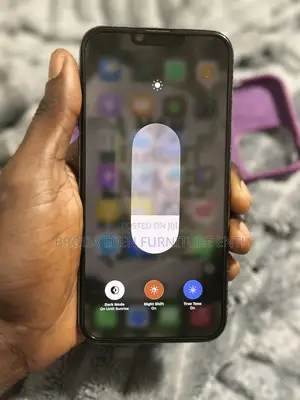 Apple iPhone 13 Pro Max 256 GB Gray
