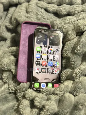 Apple iPhone 13 Pro Max 256 GB Gray
