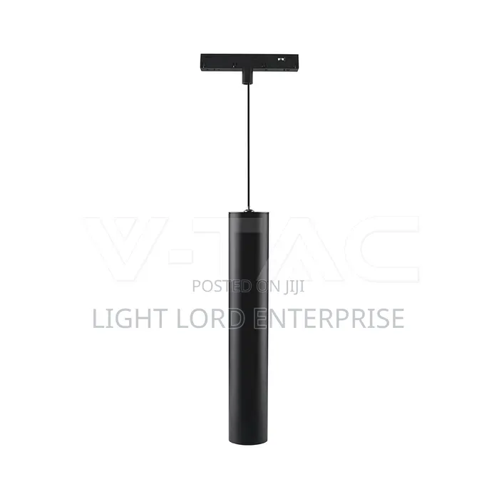 Pendant Light Magnetic Track Light