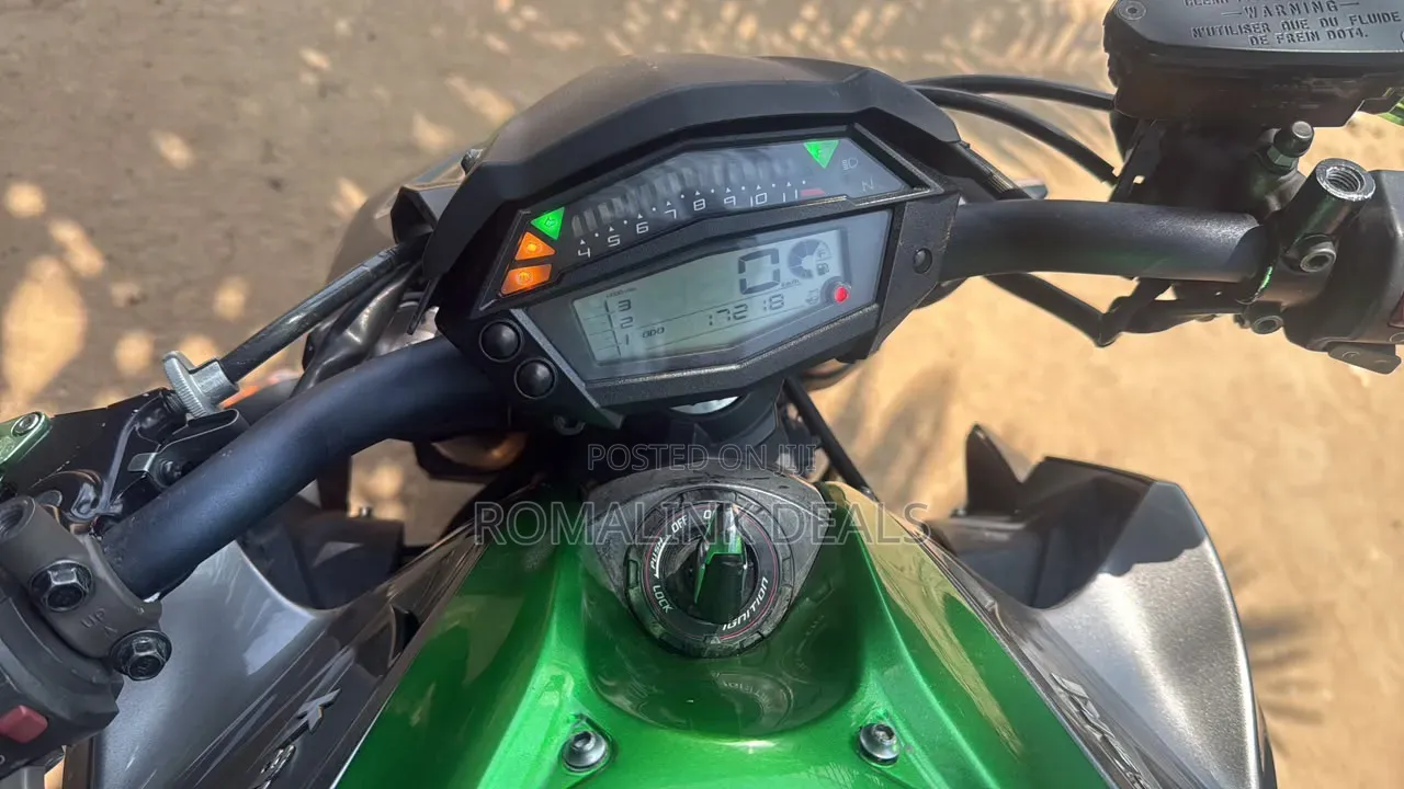 Kawasaki 2022 Green