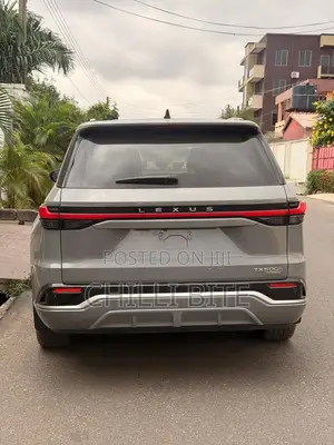 Lexus TX TX 500h AWD 2024 Gray