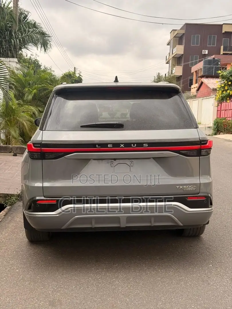 Lexus TX TX 500h AWD 2024 Gray