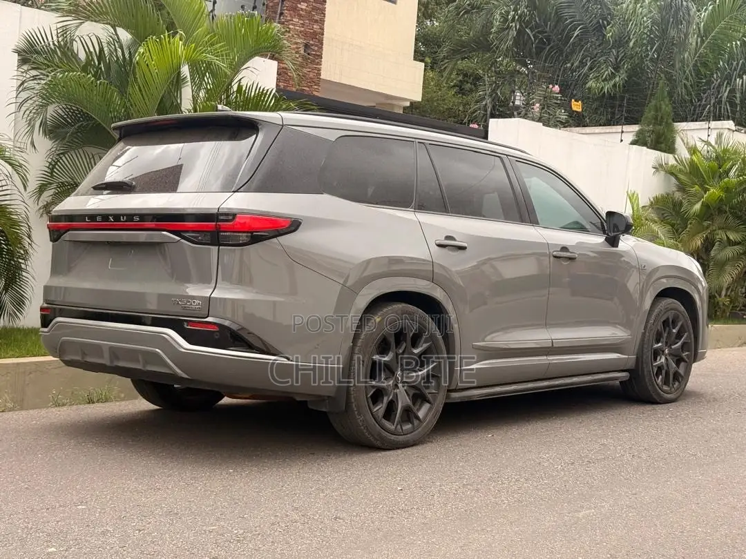 Lexus TX TX 500h AWD 2024 Gray