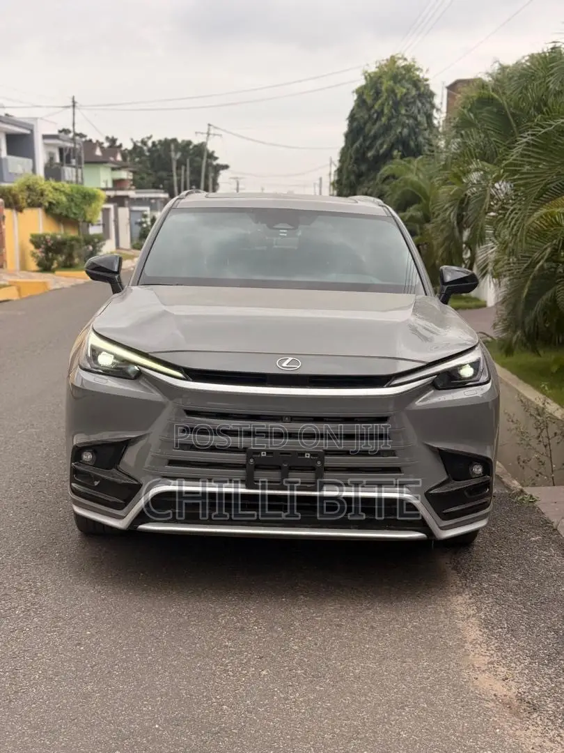 Lexus TX TX 500h AWD 2024 Gray