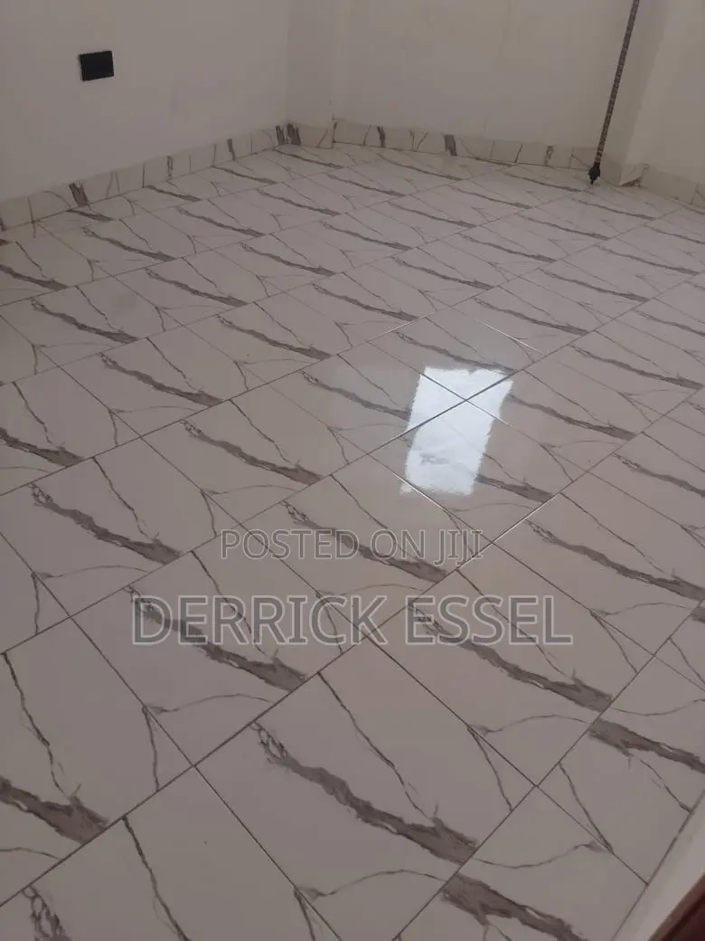 2bdrm Apartment in Christ Mind Limited, Tseaddo for rent