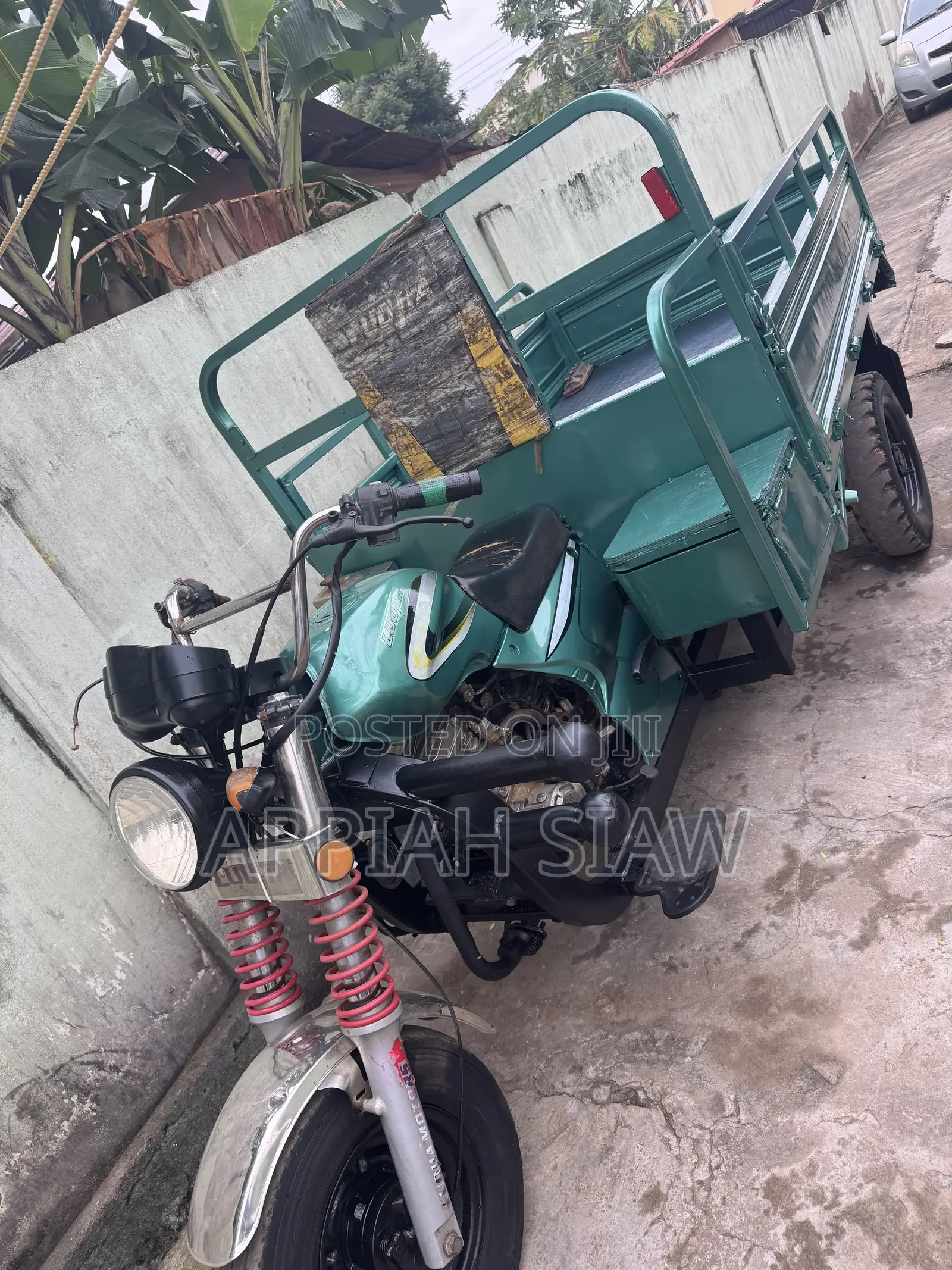 Luojia Cargo Tricycle 2025 Green