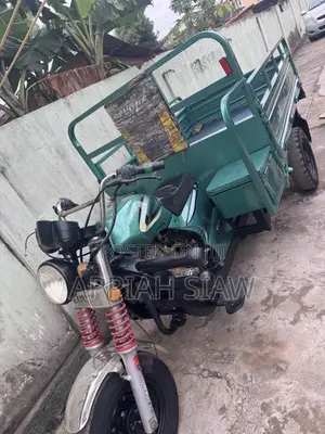 Luojia Cargo Tricycle 2025 Green