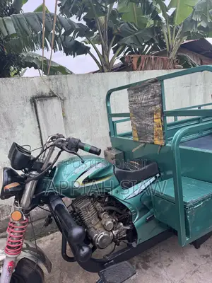 Luojia Cargo Tricycle 2025 Green