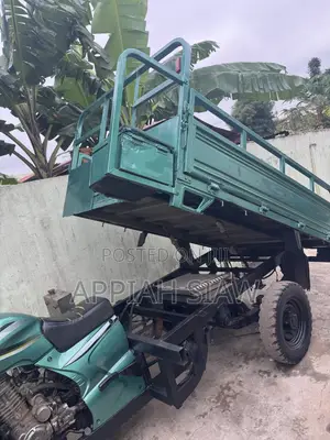 Luojia Cargo Tricycle 2025 Green