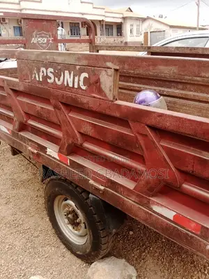 Apsonic AP150ZH-200 2025 Brown