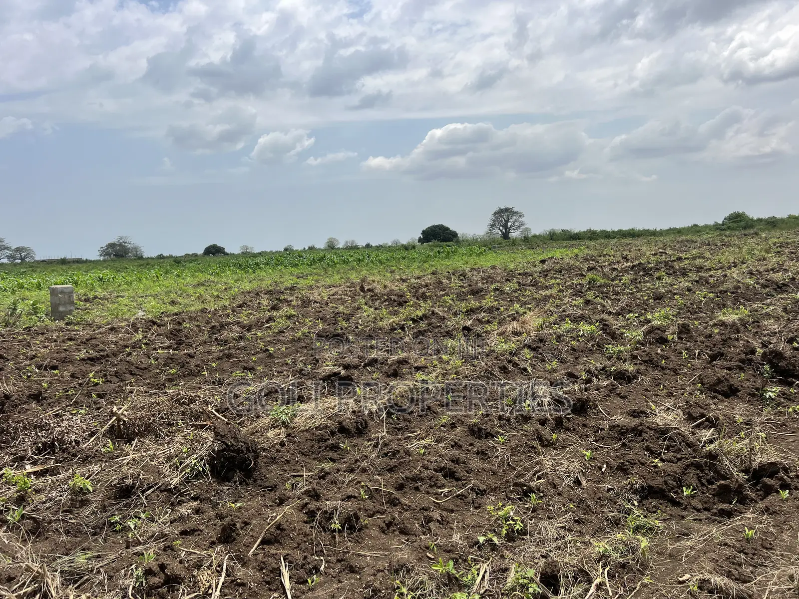 Agricultural Land at Kasunya