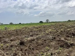 Agricultural Land at Kasunya