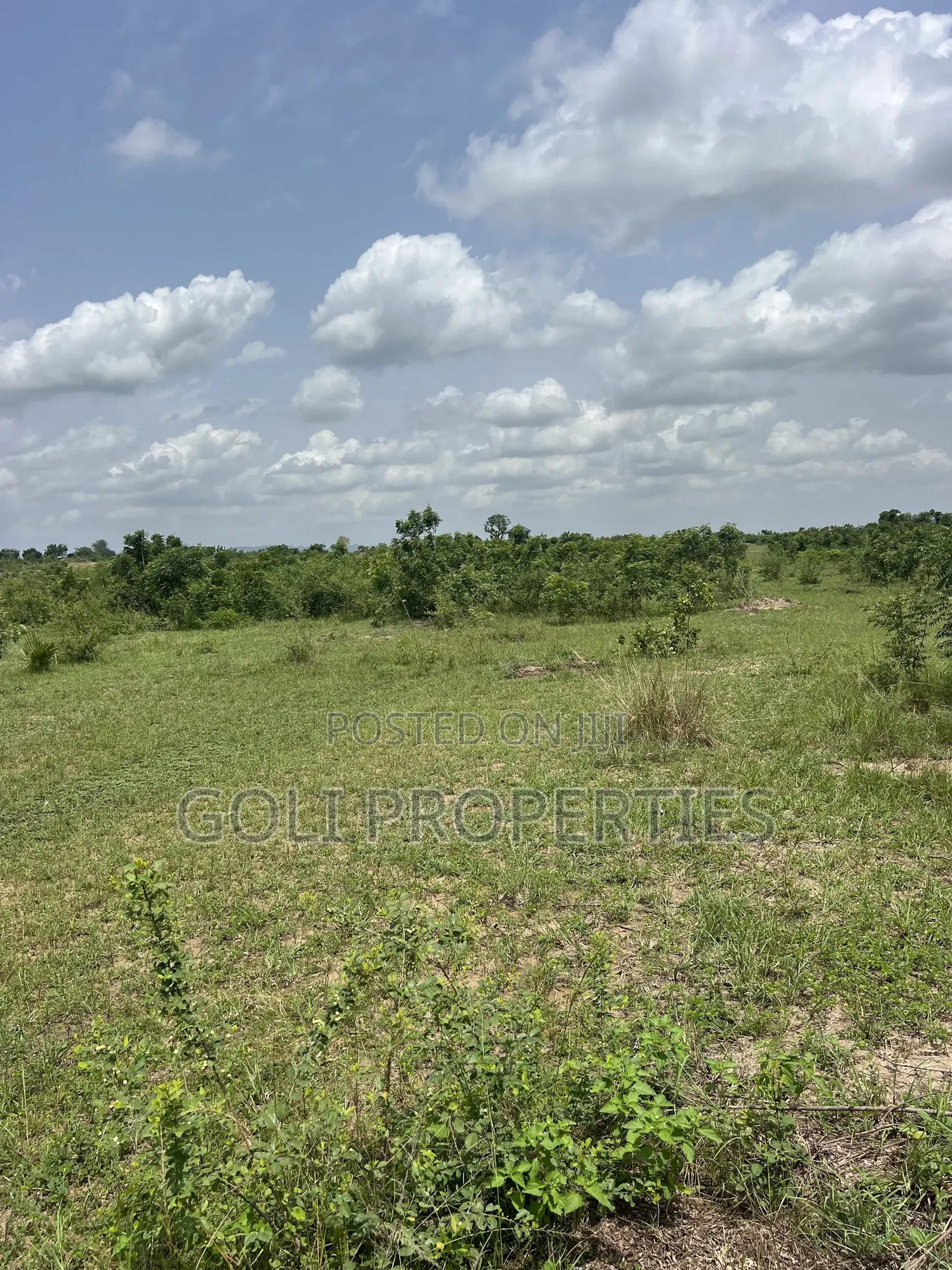 Agricultural Land at Kasunya