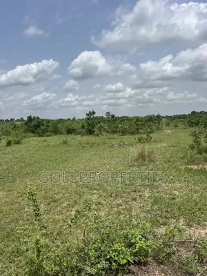 Agricultural Land at Kasunya