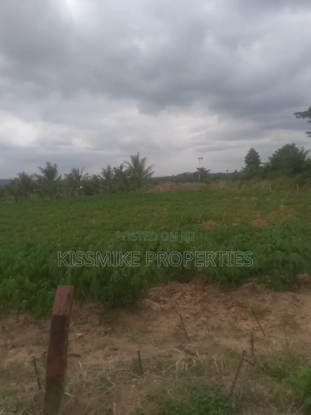Farmland for Sale at Adeiso