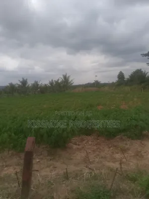 Farmland for Sale at Adeiso