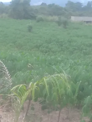 Farmland for Sale at Adeiso