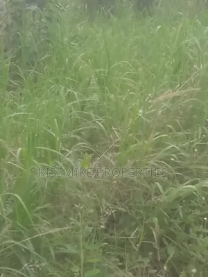 Farmland for Sale at Adeiso