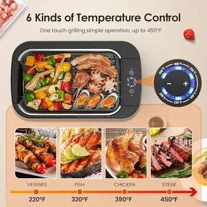 Carl Schmidt Sohn Smokeless Indoor Electric Grill Removable Plate
