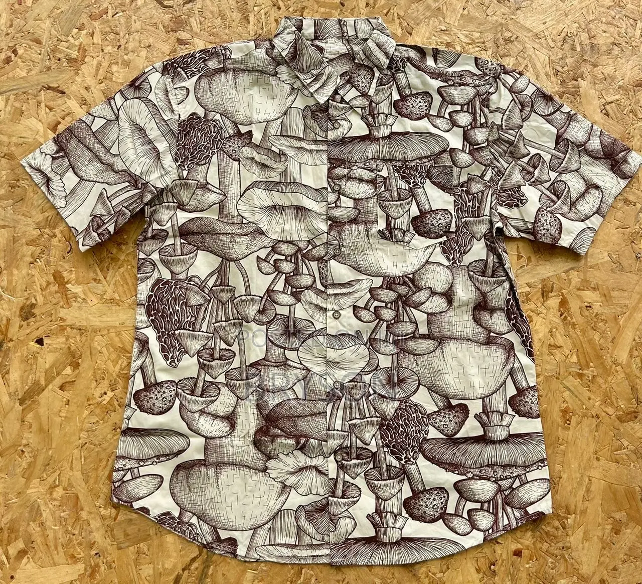 Summer Shirts