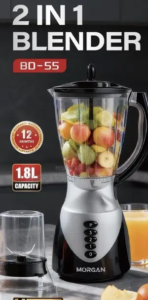 Brand New Morgan 2-in-1 Blender