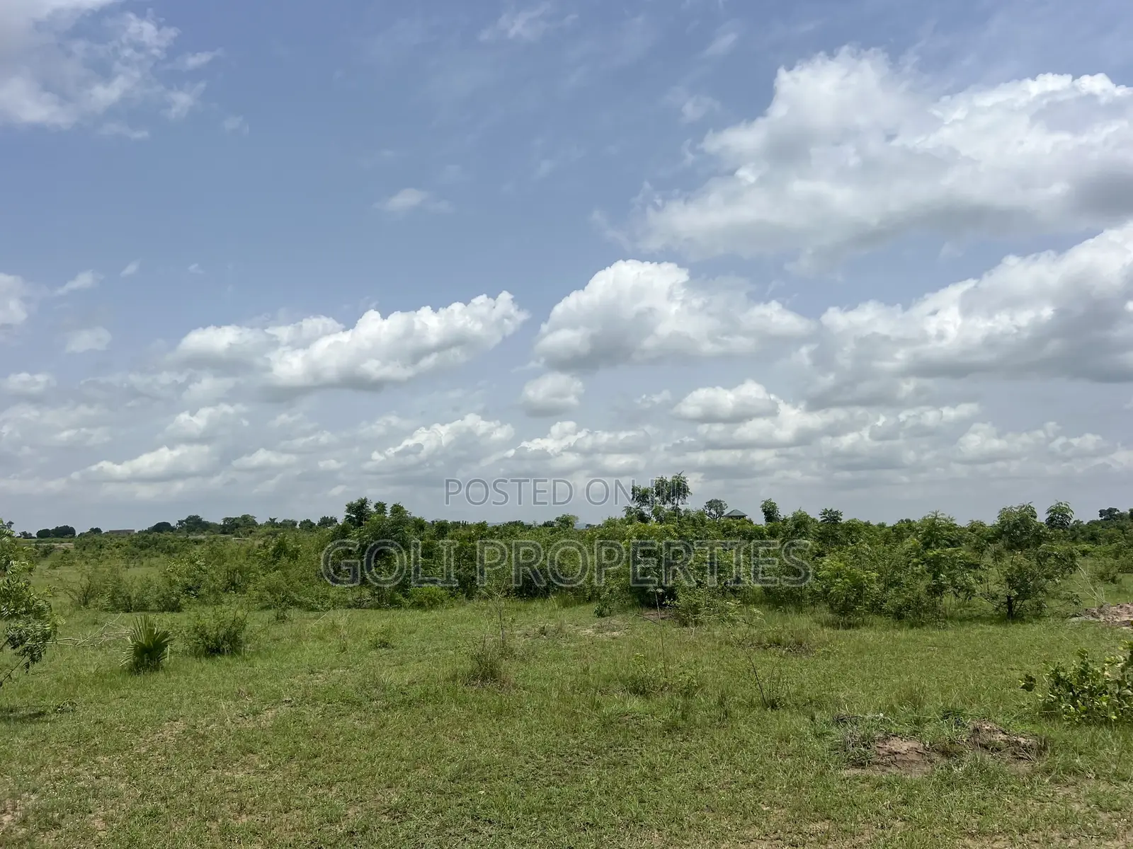 Lease Farmland in Kasunya for Your Agricultural Project