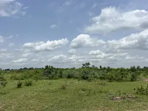 Lease Farmland in Kasunya for Your Agricultural Project