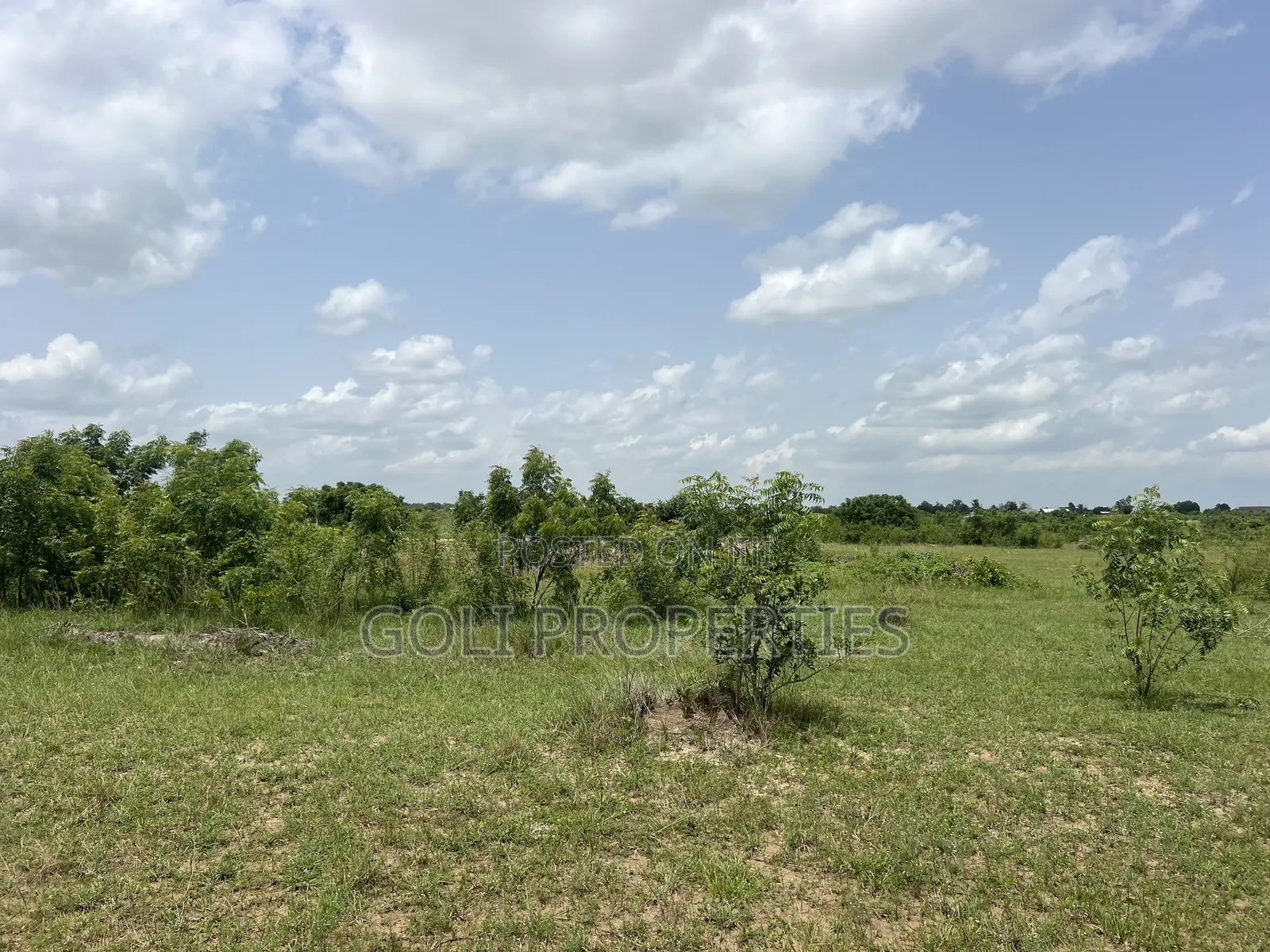 Lease Farmland in Kasunya for Your Agricultural Project