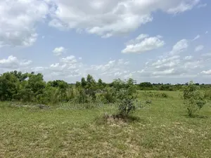 Lease Farmland in Kasunya for Your Agricultural Project