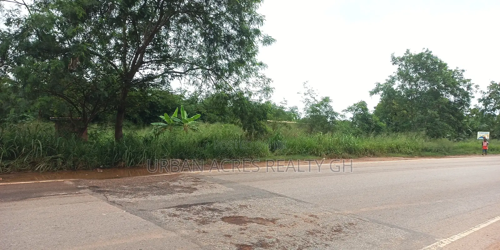 ELMINA, (CAPE COAST - TAKORADI HIGHWAY) _ 3 Plots Roadside Land