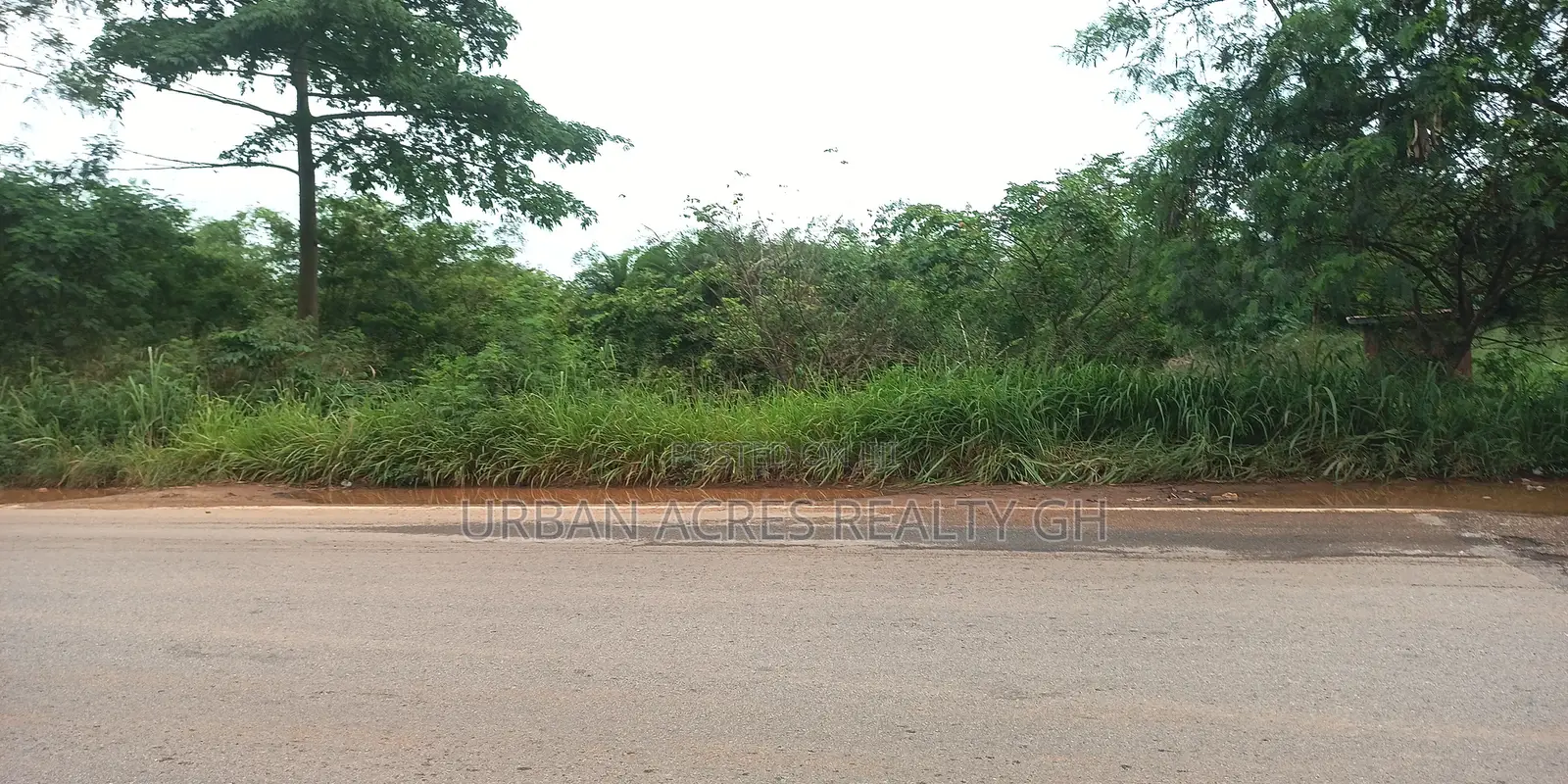 ELMINA, (CAPE COAST - TAKORADI HIGHWAY) _ 3 Plots Roadside Land
