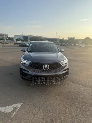 Acura RDX Advance Pkg FWD 2019 Silver