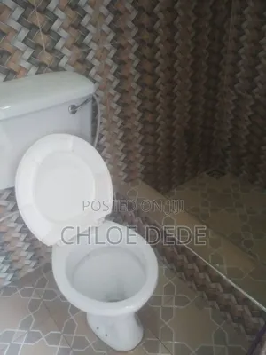 1bdrm Apartment in Police Man Junction, Kasoa for rent