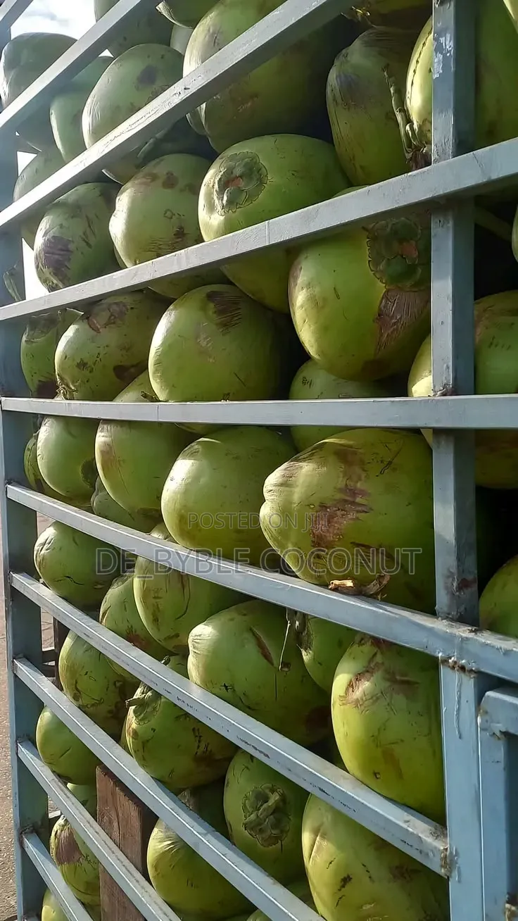 Fresh Coconut Delivery Service