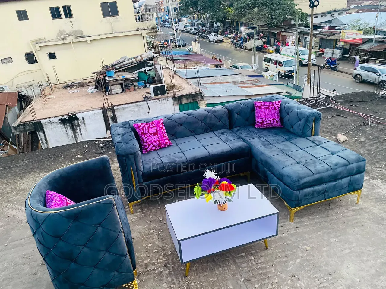 Single Plus L Shape Sofa Furniture