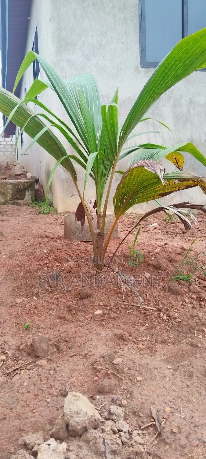 4bdrm House in Atwima Kwanwoma for sale